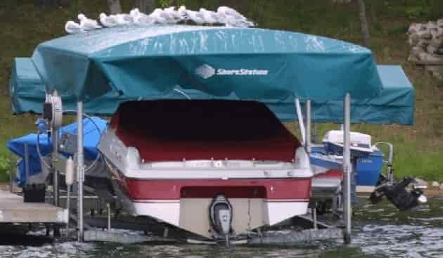 seagulls on boat canopy