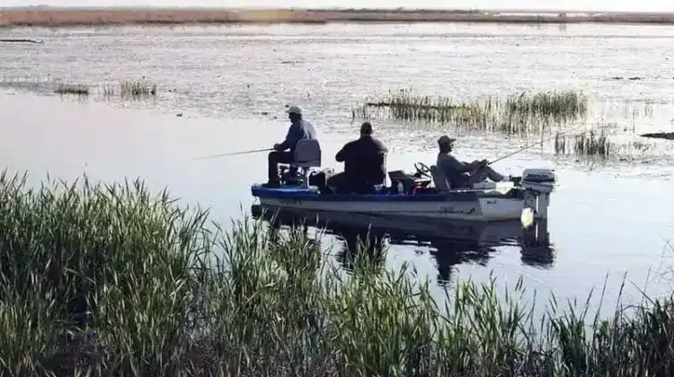 40 Best Bass Boat Accessories