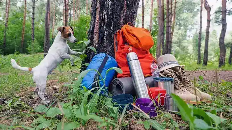 13 Best Camping Gear for a Great Trip