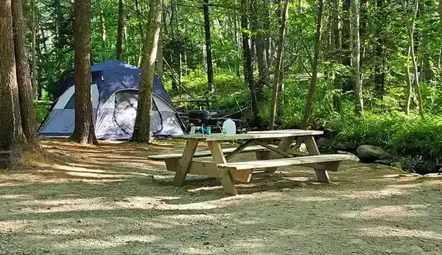 Sea Swell tent camp site